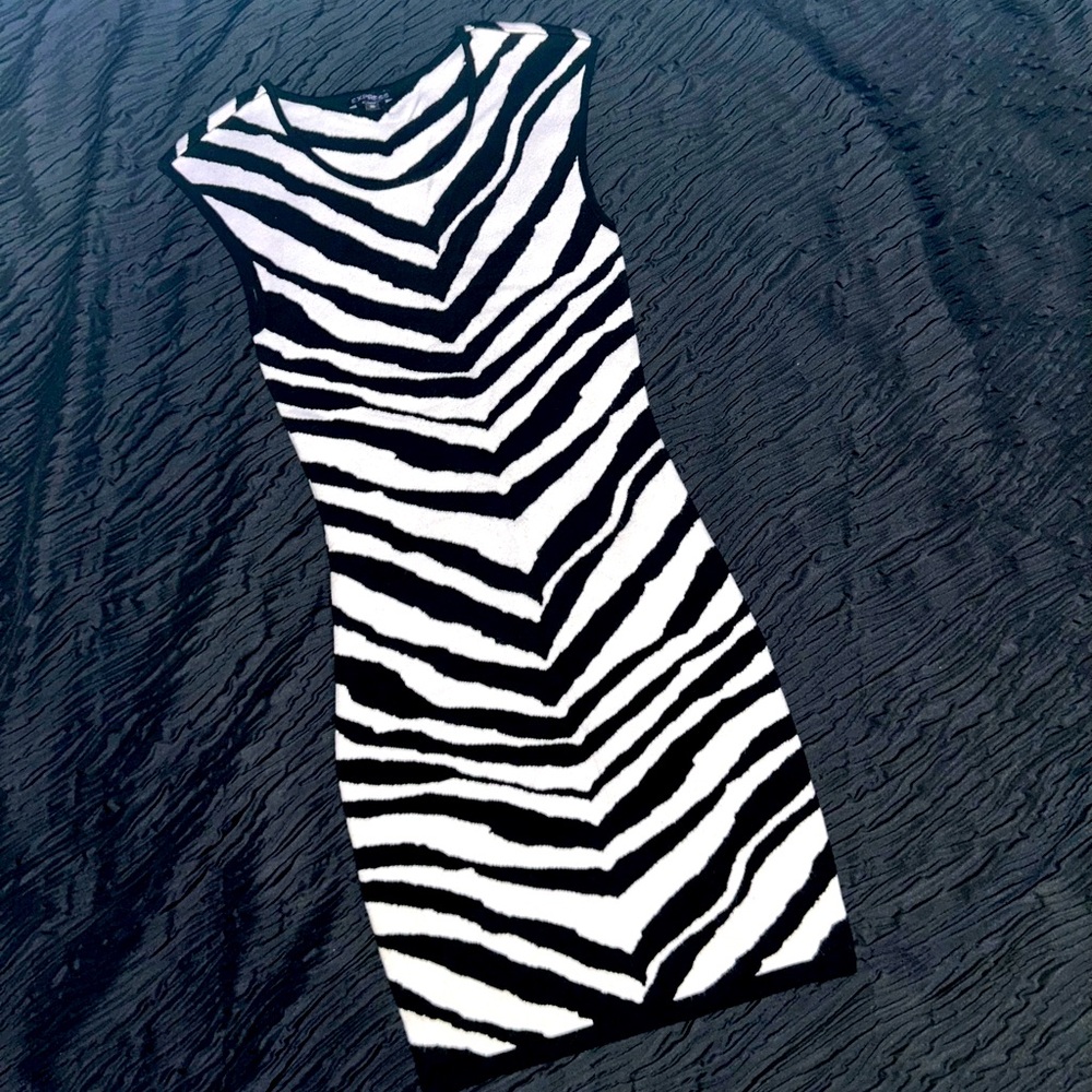 Express Zebra print sweater dress